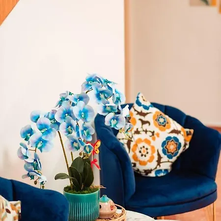 Roxy&maryo Szálloda Észak-Eforie