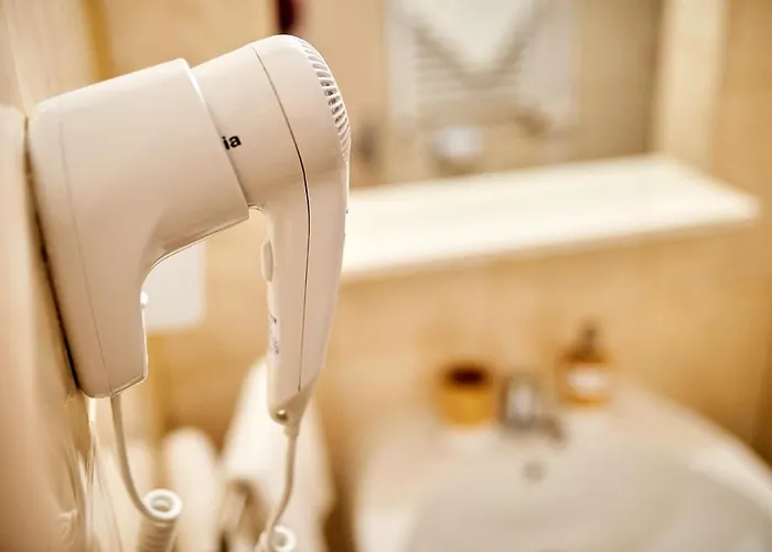 酒店 Roxy&maryo 3*