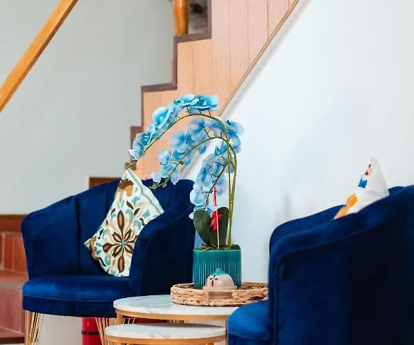 酒店 Roxy&maryo 3*