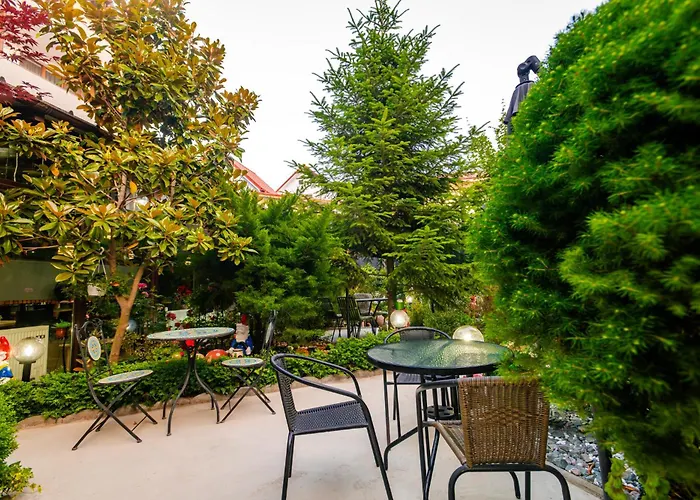 Готель Roxy&maryo 3*