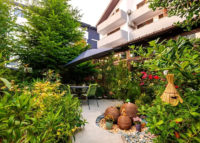 Roxy&maryo 艾福雷诺德